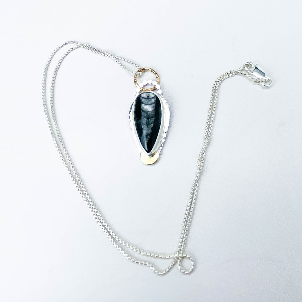 Orthoceras Pendant Necklace Sterling Silver - Quiet Wonder Talisman