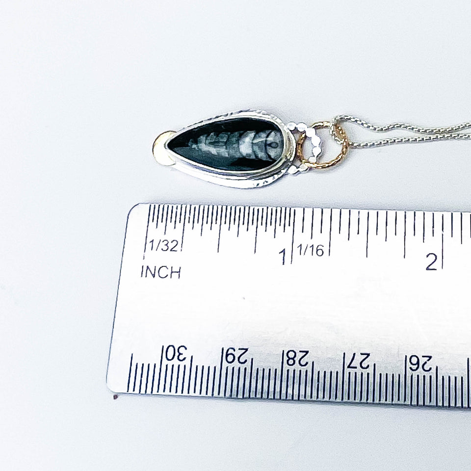 Orthoceras Pendant Necklace Sterling Silver - Quiet Wonder Talisman
