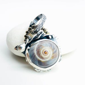 Ocean Oracle Talisman/ Shark Eye Shell