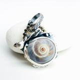 Ocean Oracle Talisman/ Shark Eye Shell