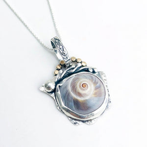 Ocean Oracle Talisman/ Shark Eye Shell