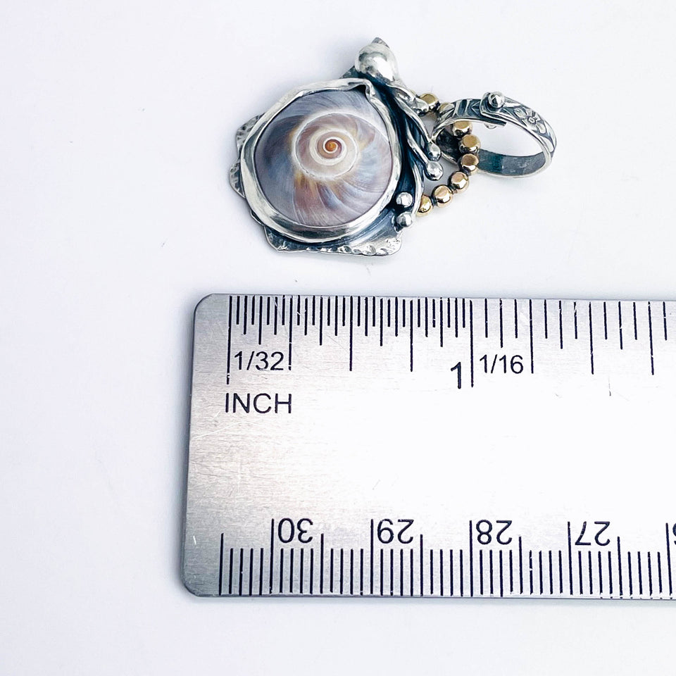Ocean Oracle Talisman/ Shark Eye Shell