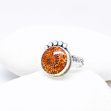 Fossilized Coral Ring - Fossil Ring Size 7 1/2