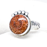 Fossilized Coral Ring - Fossil Ring Size 7 1/2